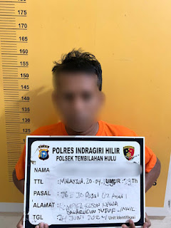 Diduga Cabuli Anak Dibawah Umur, Pria 29 Tahun ini Dibekuk Polisi